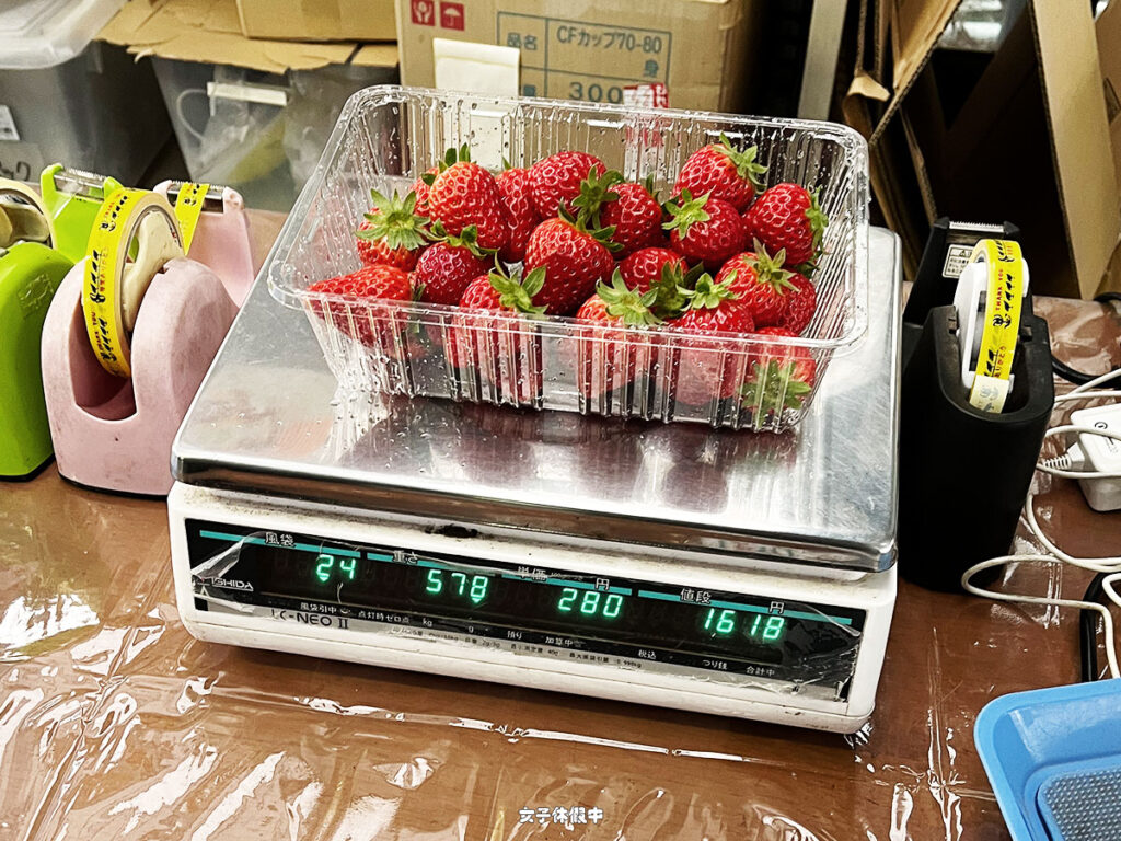 這盆草莓是1618日圓